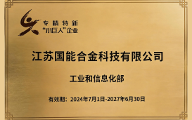 专精特新小巨人企业证书